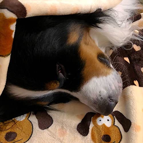 SmartPetLove Snuggle Puppy Blanket for Pets - Warm & Cozy Dog Blanket for Small Dogs - Machine Washable Dog Blanket - color: Neutral