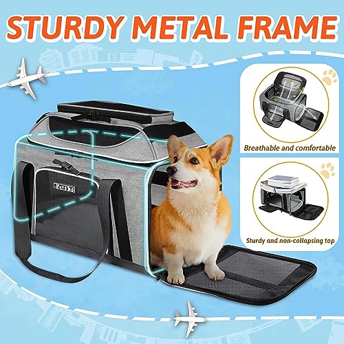 Top-Expandable Small Pet Carrier 18"x13"x9.5" Airline Approved | for Southwest Airlines, Lockable Safety Zippers and Anti-Scratch Mesh, Soft-Sided, Pets Under 10 Lbs, Grey - color: Grey, size: 18.0"L x 13.0"W x 9.5"H