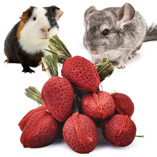 Fhiny Rabbit Chew Toys, 12 PCS Natural Hamster Molar Snacks Handmade Small Animal Chew Toys for Teeth Timothy Hay Treats Habitat Decor for Bunny Guinea Pig Chinchilla Hamster Gerbil Dental Care - size: 12 PCS