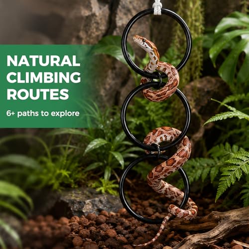 Snake Enrichment Toys for Ball Python, Includes Jungle Gym Ball with Chain, Climbing Rings for Small Corn Snake, Small Reptiles Exploring&Climbing Accessories