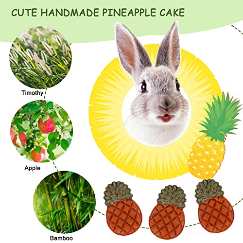 Bunny Toys, 21PCS Rabbit Chew Toys for Teeth, Guinea Pig Natural Treats | Timothy Hay Sticks chew Treats for ChinchillasRabbit, Bunny, Hamsters, Rats, chinehila, Small Animals Teeth Grinding Care - size: 21Pack-small Set