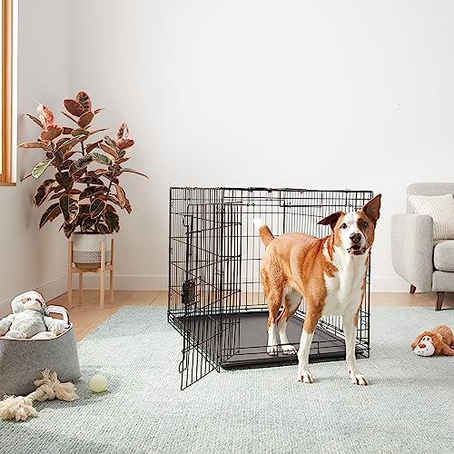 Amazon Basics Durable, Foldable Metal Wire Dog Crate with Removable Tray, Single Door, Divider Panel, 42 x 28 x 30 in, Black - size: 42.0"L x 28.0"W x 30.0"H, style: Single Door w/ Divider
