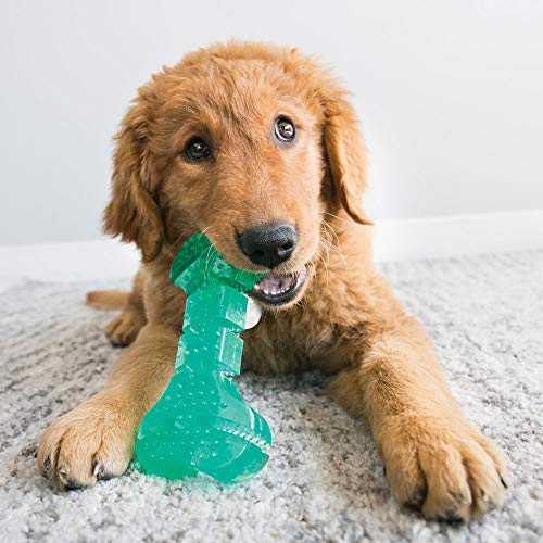 KONG Squeezz Dental Ball - Dog Toy for Cleaning Teeth - Flexible Chew Toy for Gentle & Mild Chewers - for Medium/Large Dogs | Flexible Squeezable Dental Toy for Gentle & Mild Chewers, Helps Clean Teeth & Gums During Engaging Play - style: Ball