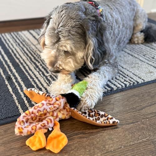 SPOT Skinneeez Mini Mallard Duck 13 Inch Stuffing-Free Plush Squeaky Dog Toy – Soft Interactive Toy for Small and Medium Dogs – Mess-Free Play for Light & Moderate Chewers – Assorted Styles - style: Mini Mallard Duck