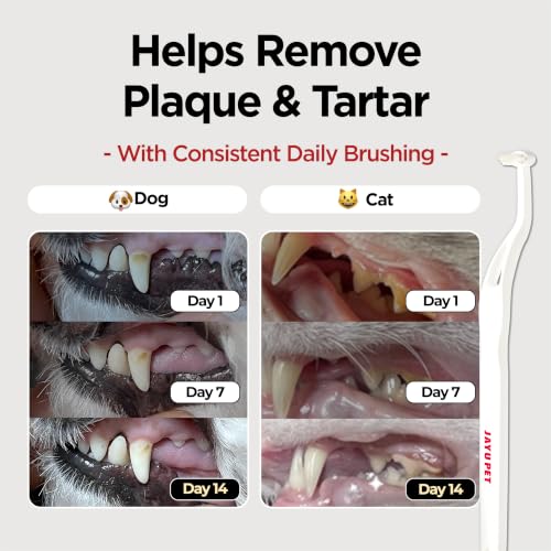 JAYU PET Dental Care Brush with Soft Bristles 1ea | Dog Toothbrush, Cat Toothbrush, For Kitten and Small Dogs, Removes Old Plaque and Tartar, Easy Cleaning - color: Soft Bristles, size: 1 Count (Pack of 1)