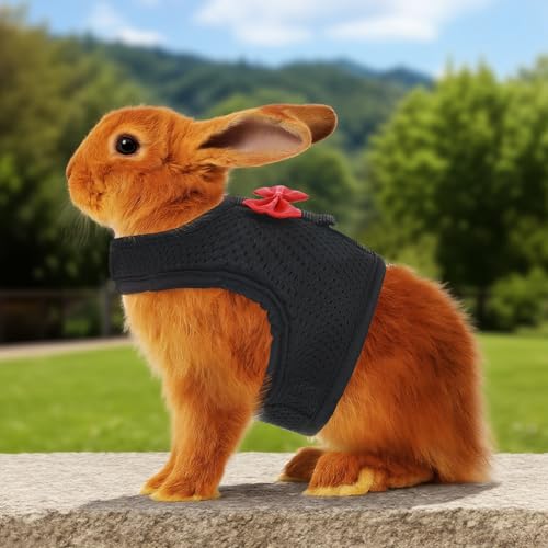 Bunny Harness and Leash Set, Soft Breathable Mesh Rabbit Leash Vest with Safety Buckles, Lightweight Escape-Proof Walking Gear for Rabbits, Kittens, Ferrets, Guinea Pigs, Black M - color: Black