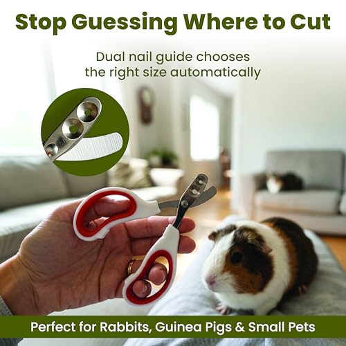 Rabbit Nail Clippers with 2 Size Safety Guide by Steel & Cedar – Professional Bunny Nail Trimmer for Safe & Precise Grooming – Stainless Steel Clippers for Rabbits, Guinea Pigs & Small Pets