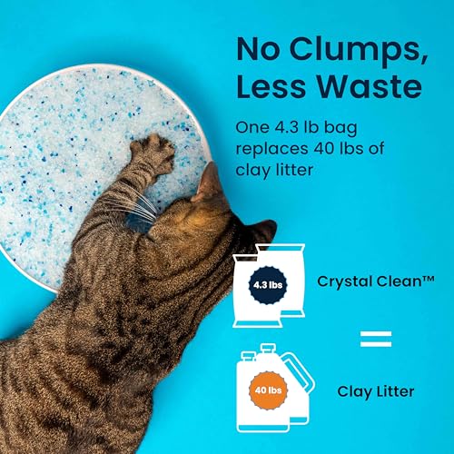 Crystal Clean Premium Fresh Scent Crystal Cat Litter with Odor Control (5X Faster), Best Lightweight, Non Clumping Kitty Litter to Absorb Urine, Dries Solid Waste (2X4.3 Lb Bags) - size: 2X4.3 Lb Bags