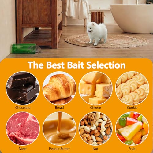 2 Pcs Humane Mouse Traps No Kill,Catch and Release Mouse Traps That Work,Live Mouse Trap Small Capture Cage,Reusable Mice Trap Catch for House & Outdoors - size: 2 Pack