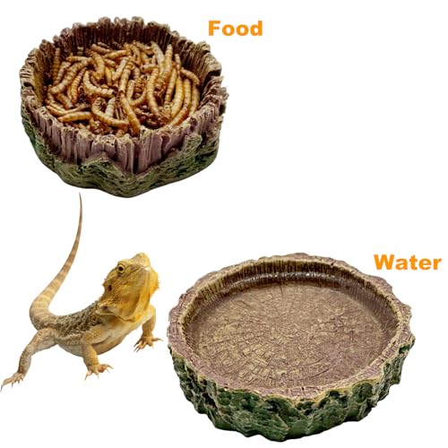 2 Pack Small Reptile Food Bowls, Reptile Feeding Terrarium Bowls for Bearded Dragon Lizard Frog Gecko Tortoise Hermit Crab Snail (Brown B) - color: Brown - 2 Pack S+M Bowls