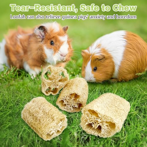 BNOSDM Bunny Chew Toys Natural Loofah 4PCS Bunny Teeth Grinding Toy Rabbit Fiber-Rich Treats Pet Entertainment Accessories for Rabbits Chinchillas Guinea Pig（L） - color: L-4PCS