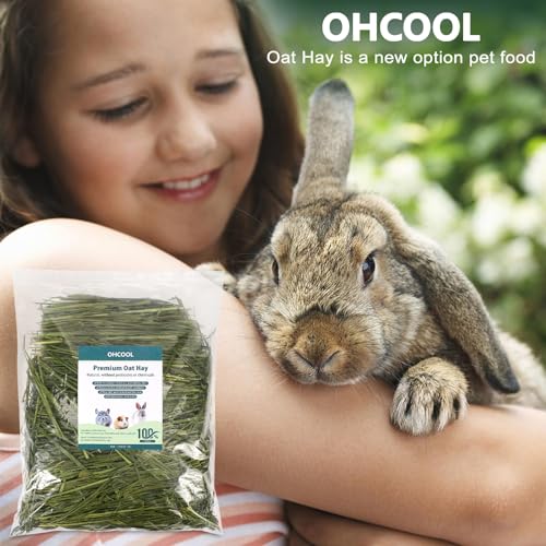 Premium Oat Hay, 1.1LB Small Pet Feed | Premium dust free natural green oat hay, suitable for rabbits, guinea pigs, chinchillas, hamsters, gerbils - size: 1.1 Pound (Pack of 1)