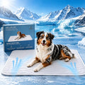 Ruikoo Cooling Dog Mat for Large Dogs, 48" x 28" Self Cooling Dog Pad with Q-Max >0.5, Breathable Washable Non-Slip Orthopedic Dog Bed, Gel-Free Crate Mat for Floor, Sofa, Car & Home - size: Large(48" x 28")