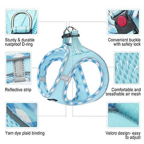 haapaw Dog Harness with Leash Set, No Pull Adjustable Reflective Step-in Puppy Harness with Thickened Padded Vest for Extra-Small/Small Medium Dogs - color: Turquoise, size: S