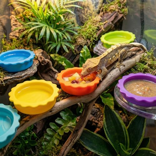 7 Pack Crested Gecko Food and Water Bowl, Eudimysx Reusable Small Reptile Feeding Dish, Gecko Tank Accessories for Hermit Crab, Tarantula, Isopods, Snails and Lizard, Silicone Easy Clean & 7 Colors - color: 7Pack