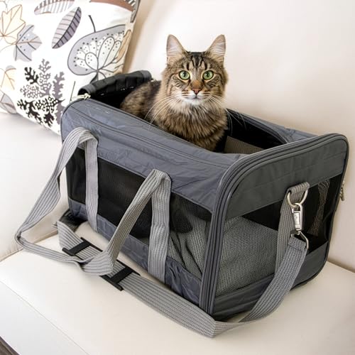 Sherpa Original Deluxe Travel Pet Carrier, Airline Approved & Guaranteed On Board - Charcoal Gray, Medium - color: Charcoal Gray, size: 17.0"L x 11.0"W x 10.5"H