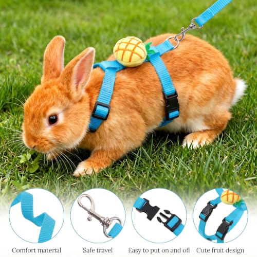 2PCS Bunny Harness and Leash Guinea Pig Leash | Kitten Harness and Leash Set for Guinea Pig Ferret Cat Puppy Duck Small Pets Outdoor Walking - style: B