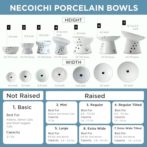 Necoichi Ceramic Elevated Cat Food Bowl (Fuji, Regular Flat) - color: Fuji, size: Regular