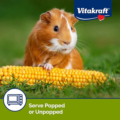 Vitakraft Mini-Pop Treat for Small Animals 6 oz – All-Natural Single-Ingredient Snack - Serve Popped or Unpopped – Enrichment, Chewing, Fun, Natural Teeth Wear – Rabbit, Hamster, Gerbil, Guinea Pig - size: 6 Ounce (Pack of 1)