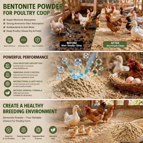 Animals and Poultry Calcium Bentonite Clay | 32 Oz Chicken Dust Bath | Healthier Eggs & Feathers | Chicken Coop Accessories | All Natural Bentonite Clay for Bath with Chinchill & Rabbits