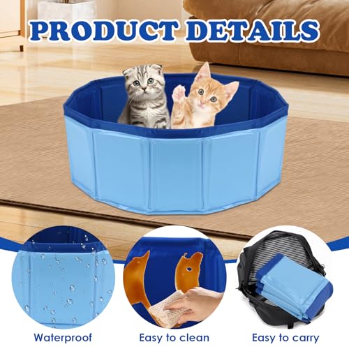 Foldable Bearded Dragon Bathtub with Brush Towel Set Reptile Accessories | Bearded Dragon Pool, Reptile Bathing Pool for Lizards,Tortoises and Small Reptiles, Bearded Dragon Accessories