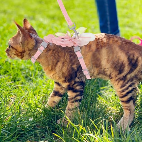 TIESOME Cat Harness and Leash Set, Adjustable Gradient Kitten Harness | Escape Proof Harness with Leash for Kitty Outdoor Walking - color: Ribbon Bear Pink