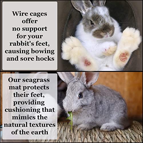 SunGrow Rabbit Grass Mat, Bunny Cage Accessories, Rabbit Stuff and Supplies, Handmade, Edible Accessory Chew, Keep in Cage or on Floor, 1 pc