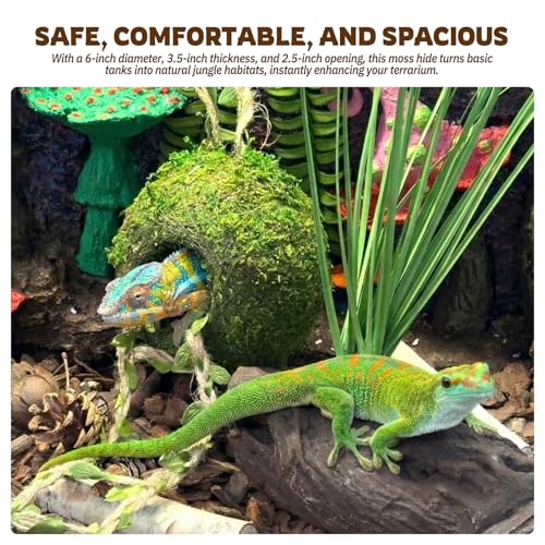 Moss Cave Hideout with Hanging Rope & Hemp Climbing Ladder – Natural Reptile Tank Decor Accessories for Crested Geckos, Chameleons, Tree Frogs, Leopard Geckos & Snakes. Terrarium & Vivarium Decor (6") - size: 6"