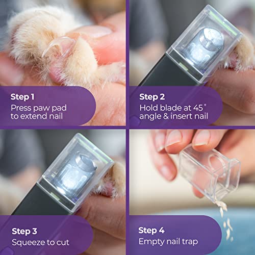 Hertzko Dog Nail Clippers with LED Light for Large & Medium Dogs - Violet Cat Nail Clipper with Replacement Blade & Nail File, Purple Nail Clippers for Dogs, Grooming Paw Pads, Circular Blade