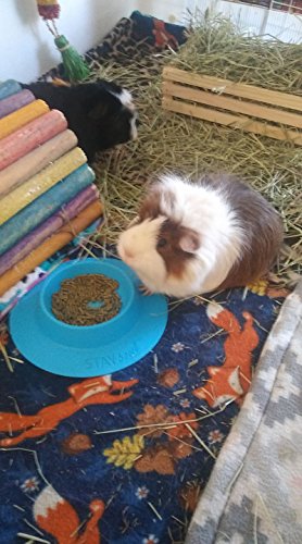 Tip-Proof Bowl for Guinea Pigs and Other Small Pets - Sky Blue - Large 3/4 Cup Size New - size: Large