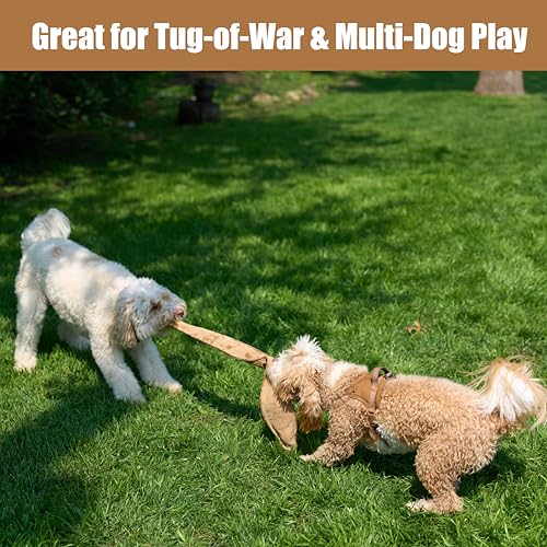 SPOT Skinneeez Leather Snake – 36" Stuffing-Free Dog Toy with Real Leather & 5 Squeakers, Tug Toy for Light to Moderate Chewers, Ideal for Large & XL Dogs - size: 36 Inch