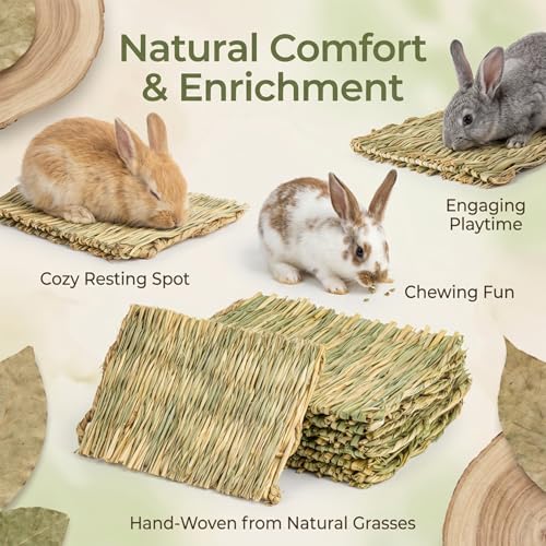 Sukh Bunny Mat - 4 Pack Natural Woven Grass Mats for Rabbits | Rabbit Mat, Cage Bed, Rabbit Bedding, Bunny Toys for Guinea Pigs, Chinchillas, Hamsters, Gerbils, Mice & Rats - size: 4 PCS
