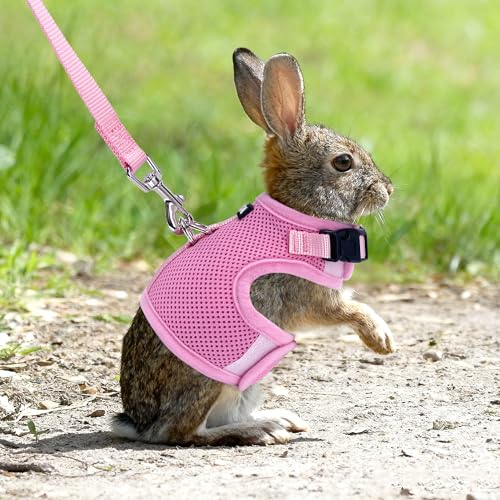 Breathable Escape Proof Rabbit Harness and Leash Set, Pink L | Lightweight & Portable, Padded Vest with Magic Tape Design, Indoor/Outdoor Use (Training, Hiking) - Fits Hamsters, Cats - color: Pink, size: L