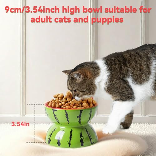 Hamiledyi Ceramic Raised Cat Bowl 5In Elevated Wide Cat Bowl for Food and Water Anti Vomiting Tilted Pet Feeder Dish for Indoor Cats and Small Dogs(Watermelon)