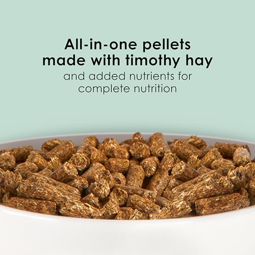 Kaytee Timothy Complete Guinea Pig Food, Made with Timothy Hay, High in Fiber, Supports Dental Health and Digestion, Long-lasting Vitamin C, 9.5 pounds - size: 9.5 Pound (Pack of 1)