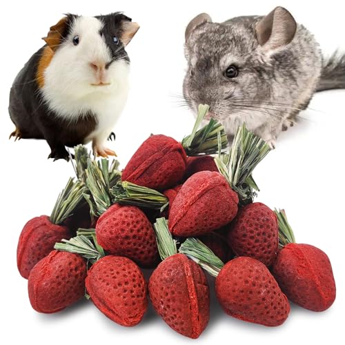 Fhiny Rabbit Chew Toys, 24 PCS Natural Hamster Molar Snacks Handmade Small Animal Chew Toys for Teeth Timothy Hay Treats Habitat Decor for Bunny Guinea Pig Chinchilla Hamster Gerbil Dental Care - size: 24 PCS