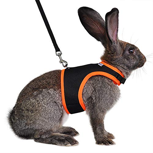 Niteangel Adjustable Soft Harness with Elastic Leash for Rabbits (L, Black) - color: Black, size: L