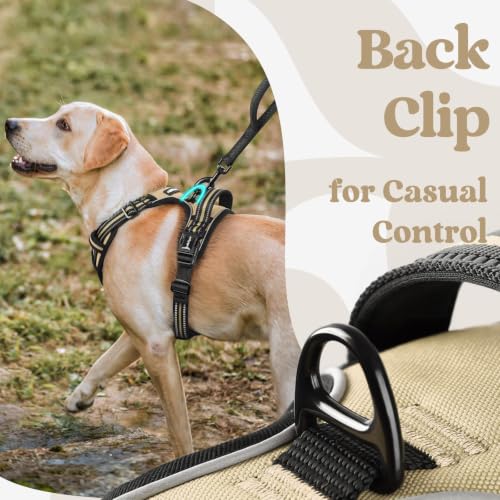 rabbitgoo Dog Harness Medium Sized, Updated Easy On & Off with 3 Buckles | No Pull No Choke, Walking with 2 Clips and Handle, Adjustable Soft Reflective, Beige, Medium - color: Beige, size: Medium
