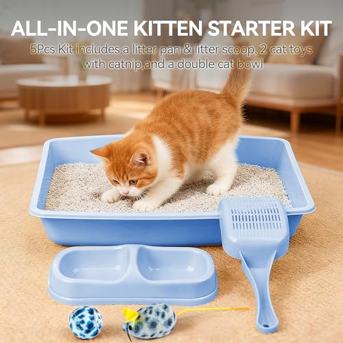 PAWISE Cat Litter Box Set, Small Cat Kitten Starter Kit, Includes Cats Toilet Kitten Litter Pan with Litter Scoop, Double Dish Cat Bowl, Kittens Mouse and Ball Toy - color: Blue
