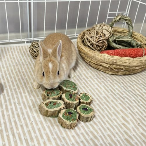 Rabbit Chew Toys for Teeth Guinea Pig Treats Papaya Wood for Bunny (10.5oz) | bunny supplies,rabbit enrichment toys,rabbit stuff,rabbit toys for bunnies boredom,for bunny guinea pig chinchilla Hamster - size: 10.5oz (A)