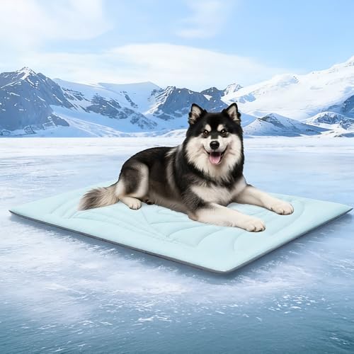 Dog Cooling Mat, Arc-Chill Cold Fabric Delivers Rapid&Lasting Cool 59"x40" | Q-Max>0.5, Portable & Washable, Chew-Resistant, for Extra-Large Dog, Indoor, Outdoor, Car, Crate, All-Season