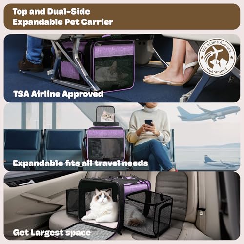 Top and 2 Sides Expandable Pet Carrier 17x11x9.5 TSA Airline Approved | Dog Carriers for Small Dogs, Soft-Sided Cat Carrier, Anti-Scratch Mesh, Lockable Zippers, for Kitten, Rabbit, Puppy, Purple - color: Purple, size: 17.0"L x 11.0"W x 9.5"H