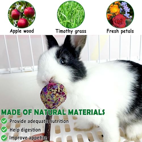 kathson 16PCS Rabbit Timothy Hay Treats Sticks,Interactive Bunny Lollipop Chew Sticks,Natural Guinea Pigs Chewing Treats Molar Teeth Toys for Small Animals,Chinchilla,Hamster,Gerbil