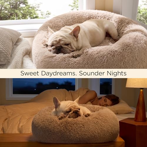 Bedsure Calming Cat Beds Donut Round Washable Kitten Bed,20 inches Camel | Oprah Daily Award,Fluffy Faux Fur Cuddler,Anti-Slip Bottom,Anti-Anxiety,Deep Sleep for Cats&Small Pets Up to 15 Lbs - color: Camel, size: 20"L x 20"W x 6"Th