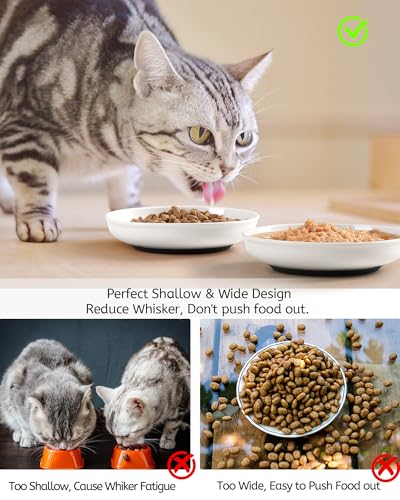 WROSWT No Spill Cat Bowls,Cat Food Bowl,Anti Whisker Fatigue Healthy Ceramic Cats Dishes Set for Indoor Cats,Shallow Wide Kitten Plates for Food and Water,Non-Slip Silicone Bottom,6 Pack - size: Deeper-6 Pack