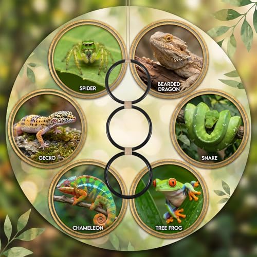Snake Climbing Rings for Ball Python, Enrichment Toys for Corn Snake, Reptile Enrichment Climbing Ring, Reptile Tank Accessories for Terrarium, Bearded Dragon, Chameleon, Iguana, Gecko, Lizard, Parrot