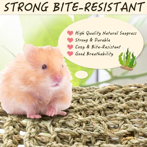 Bird Seagrass Mat 30 x 7 Inch Natural Seagrass Woven Bird Net, Parakeet Climbing Rope Ladder, Hammock Climbing Rope Ladder with Hooks, Chew Toys for Parrots Lovebird Cockatiel Budgie Hamster