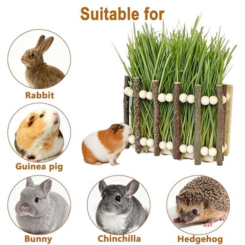 Wood Rabbit Hay Feeder,Hanging Guinea Pig Hay Holder,Biting Resistant Bunny Grass Holder,Small Animals Feeding Grass Manage Rack Dispenser for Chinchilla,Hamsters Cage Accessories