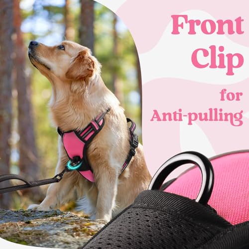 rabbitgoo Dog Harness Small Sized, Updated Easy On & Off with 3 Buckles | No Pull No Choke, Walking with 2 Clips and Handle, Adjustable Soft Reflective, Rose Pink, Small - color: Rose Pink, size: Small