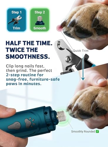 Super Quiet Dog Nail Grinder & Clippers Kit with 2 LED Lights, 3 Speeds Up to 12,000 RPM, Lower Than 30dB Electric Pet Nail Trimmer for Small Medium Large Dogs and Cats - color: A-Blue